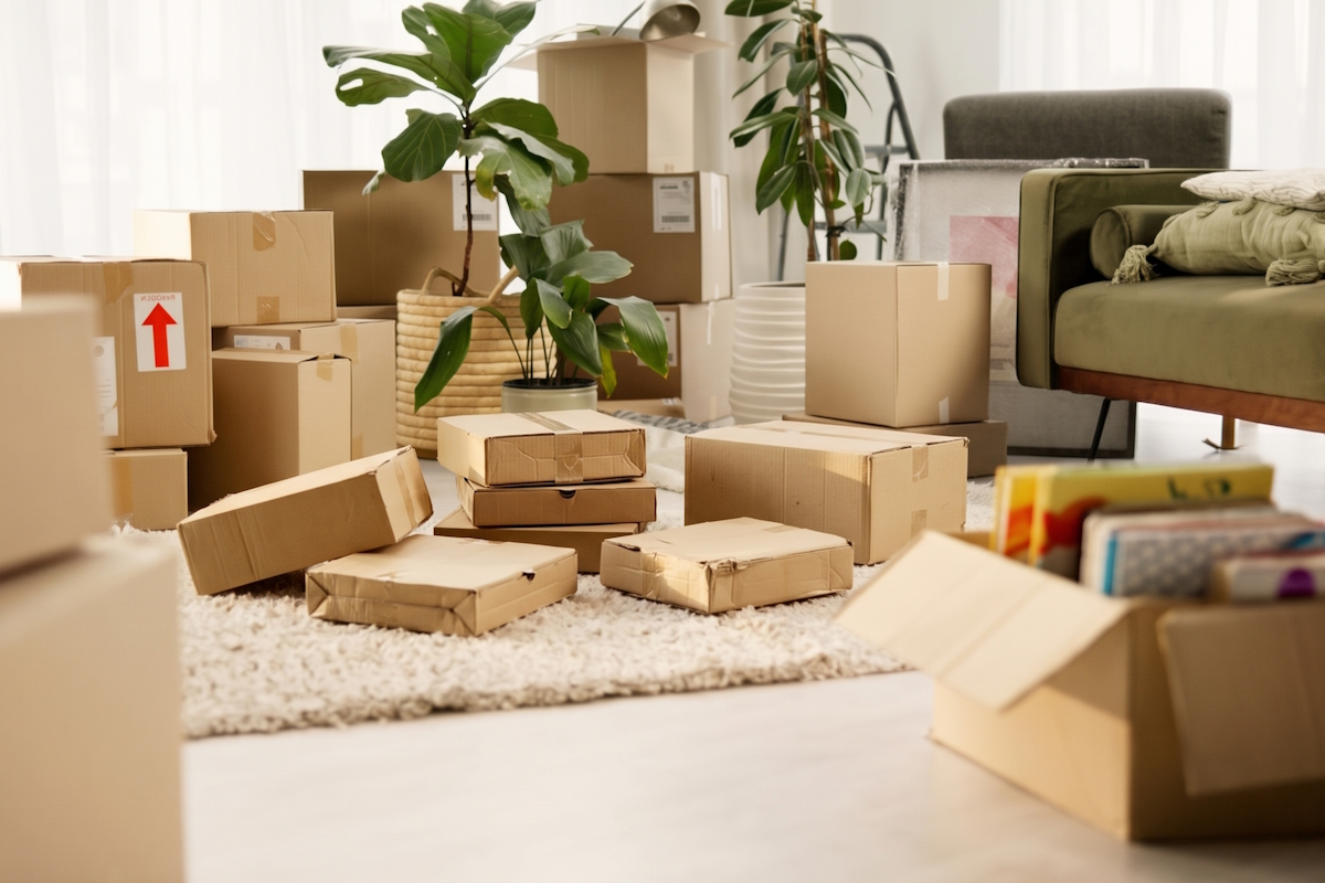 room boxes and moving in house