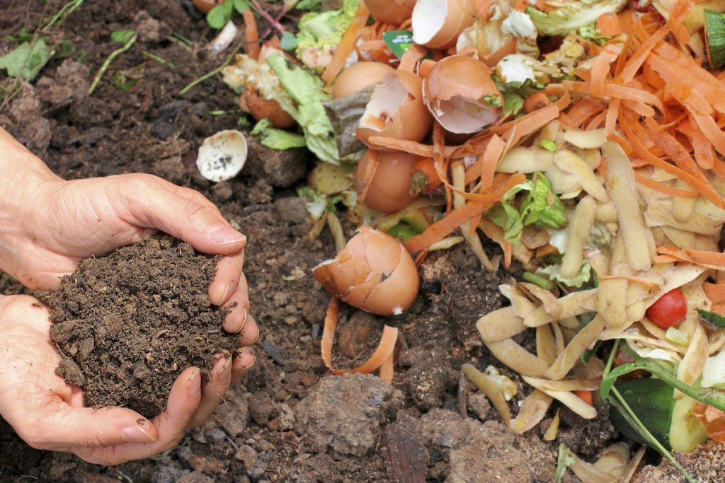 waste management compost with composted earth ist479440915
