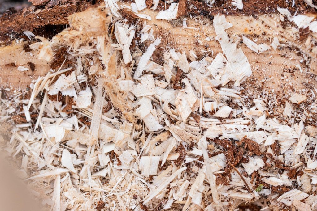 recycled paper wood pulp